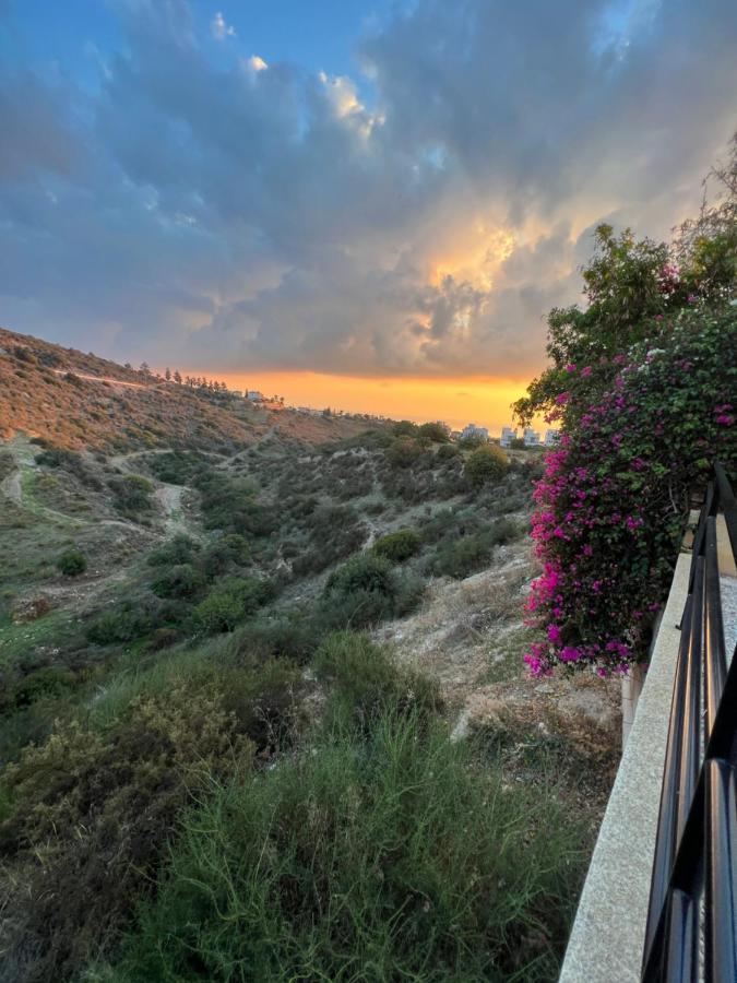 Hillview Apartment Peyia Dış mekan fotoğraf